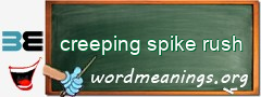 WordMeaning blackboard for creeping spike rush